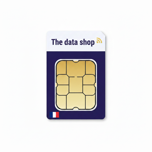 SIM France mock-up
